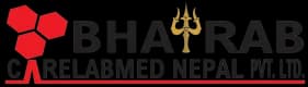 Partner logo